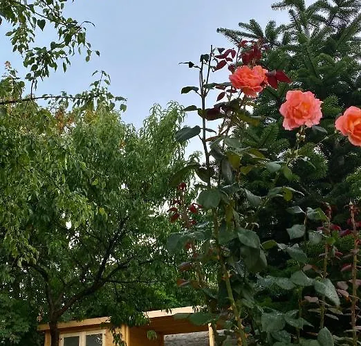 Nyaraló The Nook - Balatonkiliti *